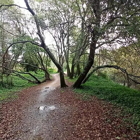 Aqualecer Montalvo 펜션 *